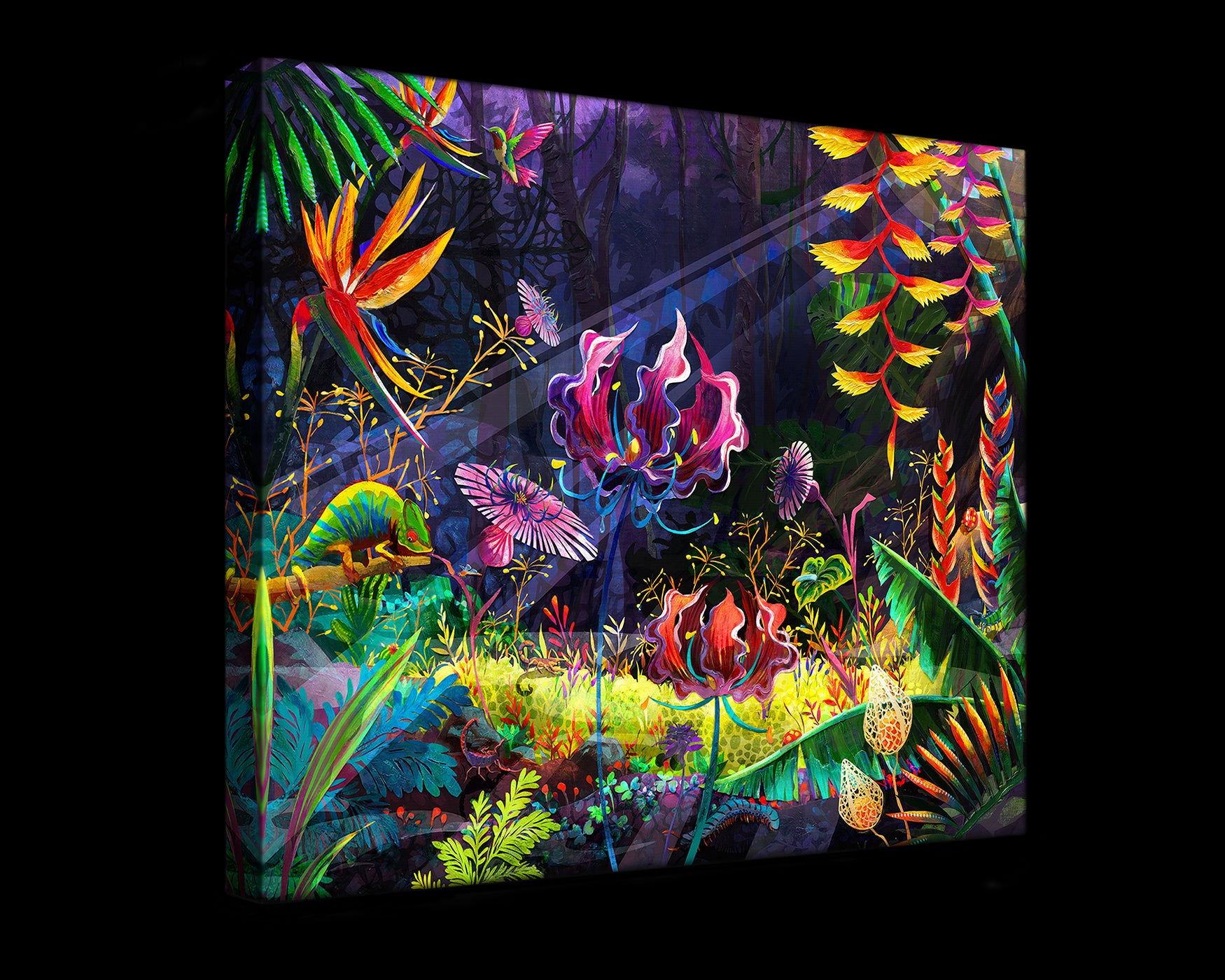 Exotic (Gallery Wrapped Canvas Prints)