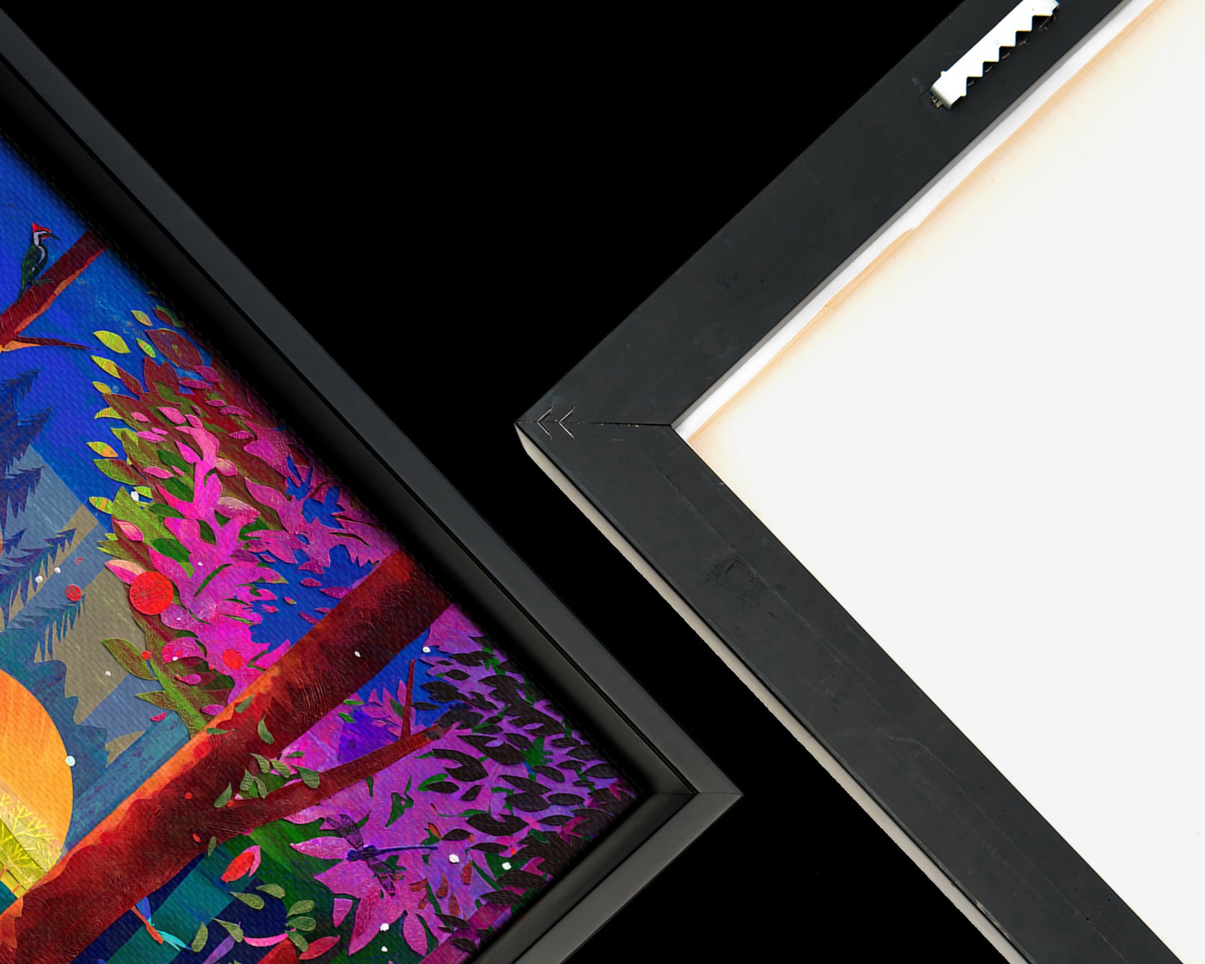 Exotic (Framed Canvas Prints)