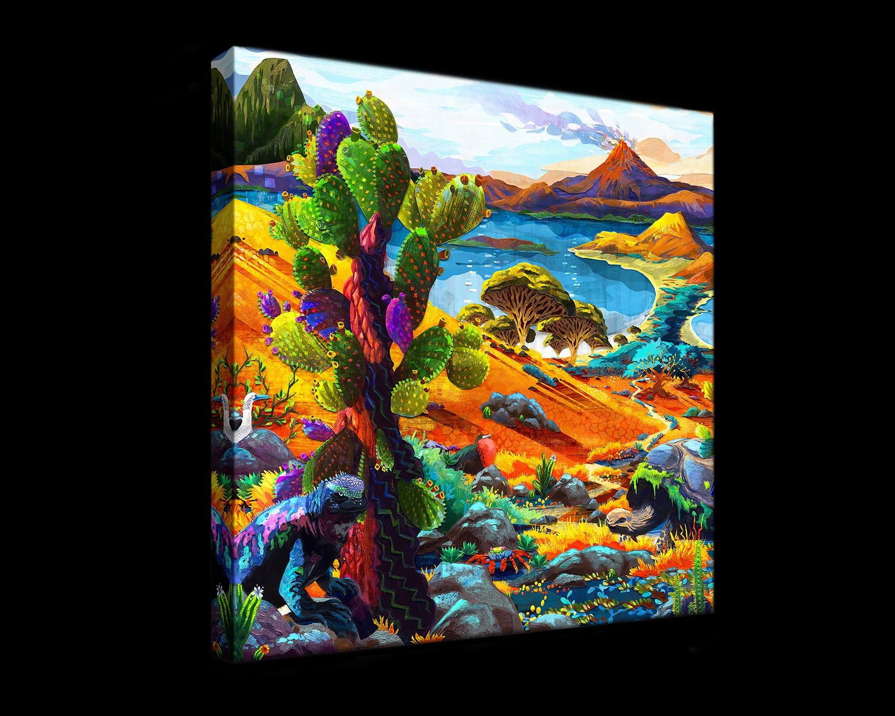 Galapagos (Gallery Wrapped Canvas Prints)